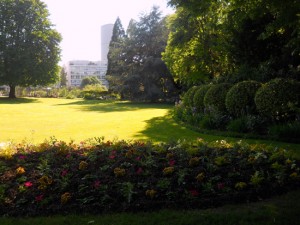 flores do Jardim de Luxemburgo