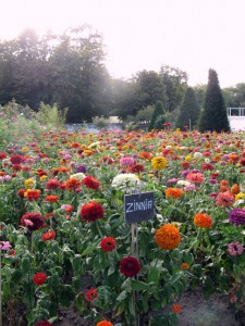 Jardim Potager, de Chenonceau