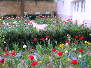 Museu Delacroix, jardim, florido