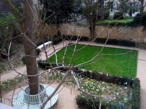árvore do jardim de Delacroix, natureza, arte, museu